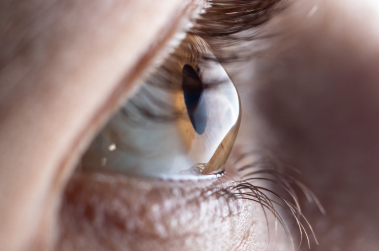 cornea.png